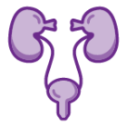 Image icon