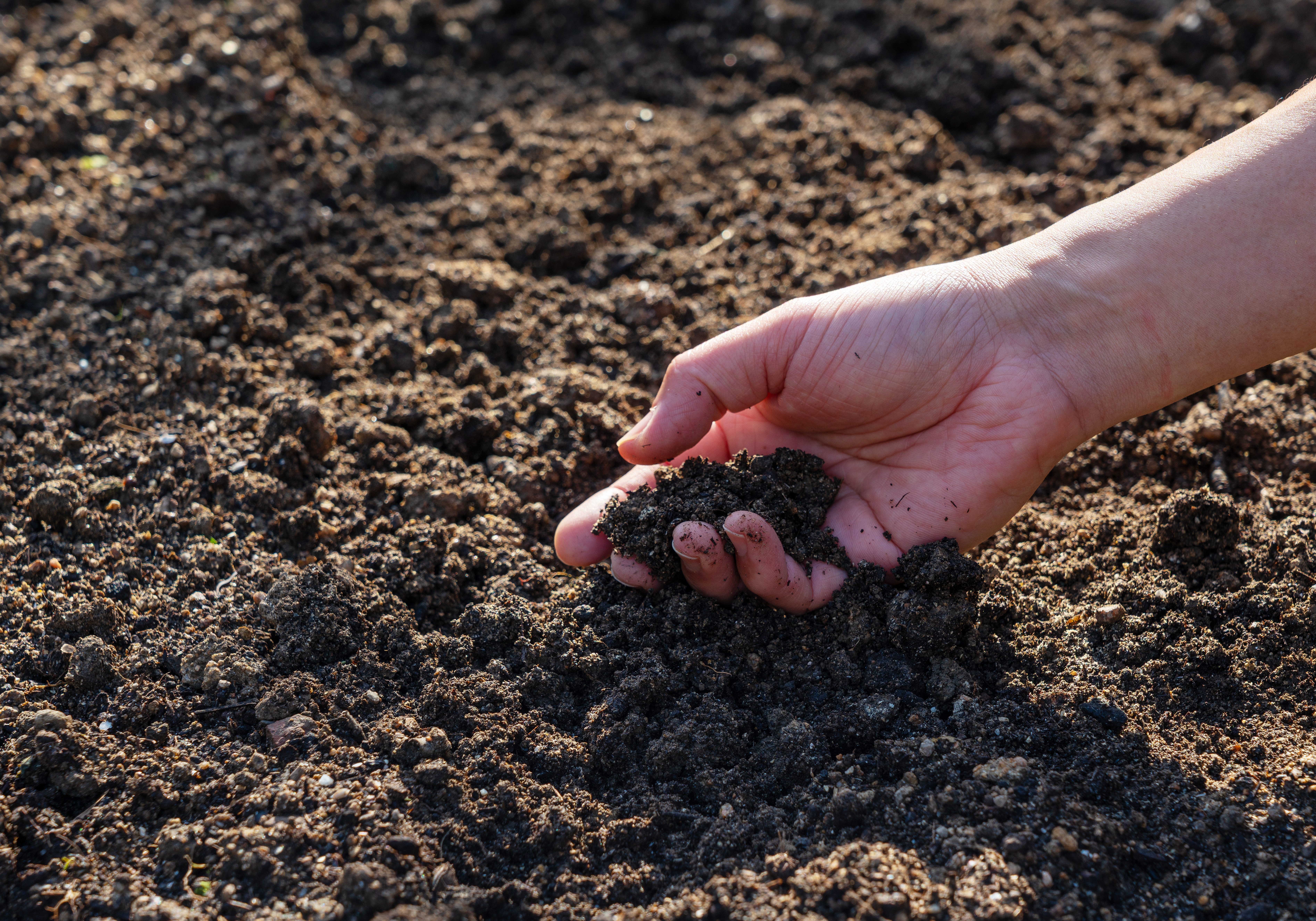 ไข้ดินคืออะไร? อาการ สาเหตุ การรักษา และวิธีป้องกันที่ควรรู้