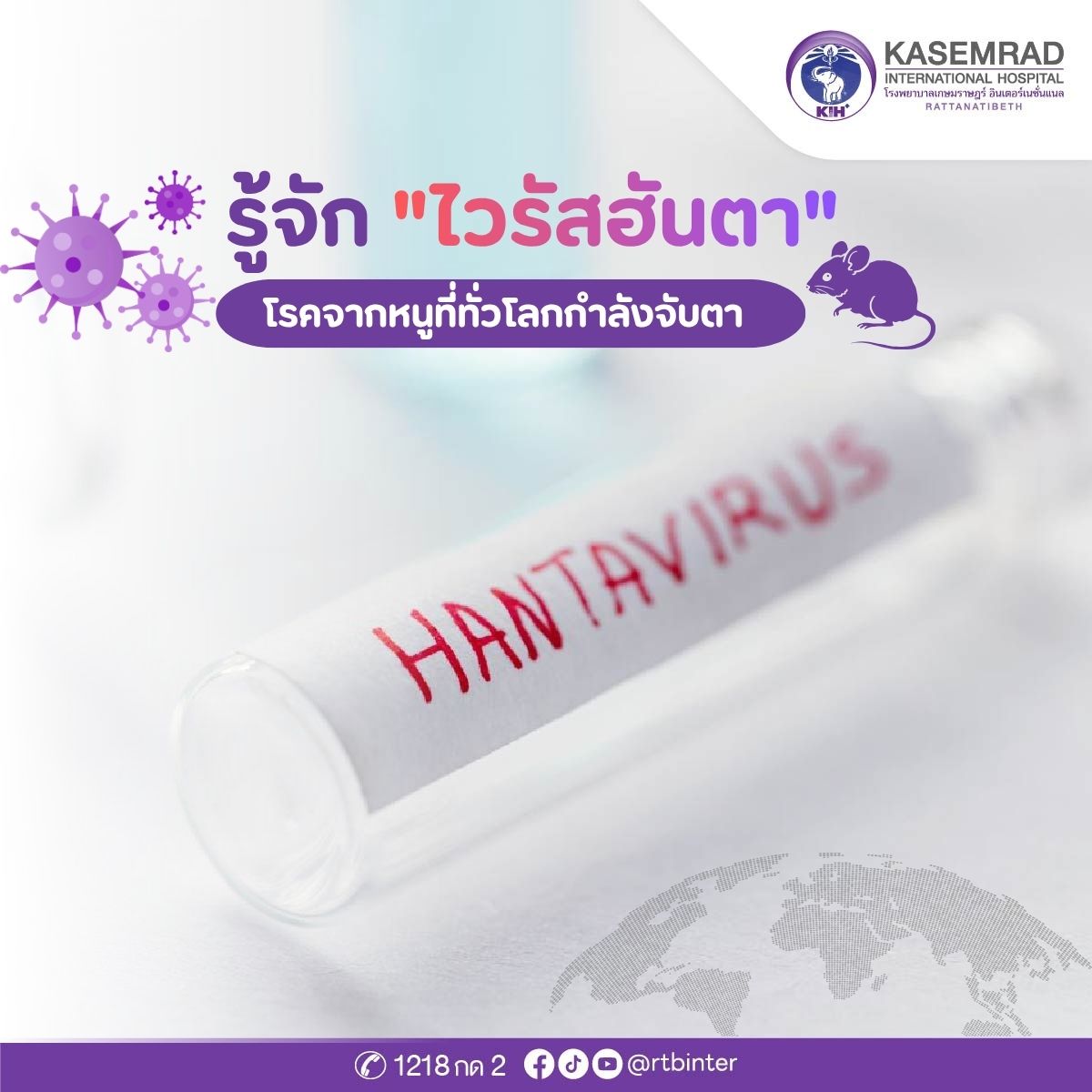 ปกบทความไวรัสฮันตา